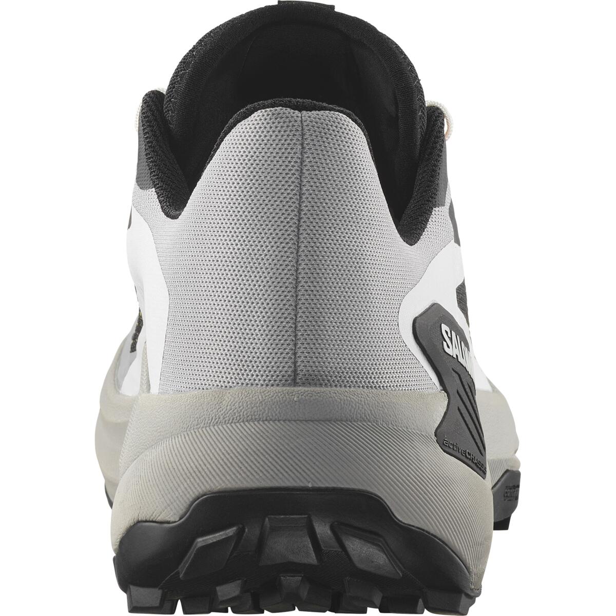 SALOMON GENESIS