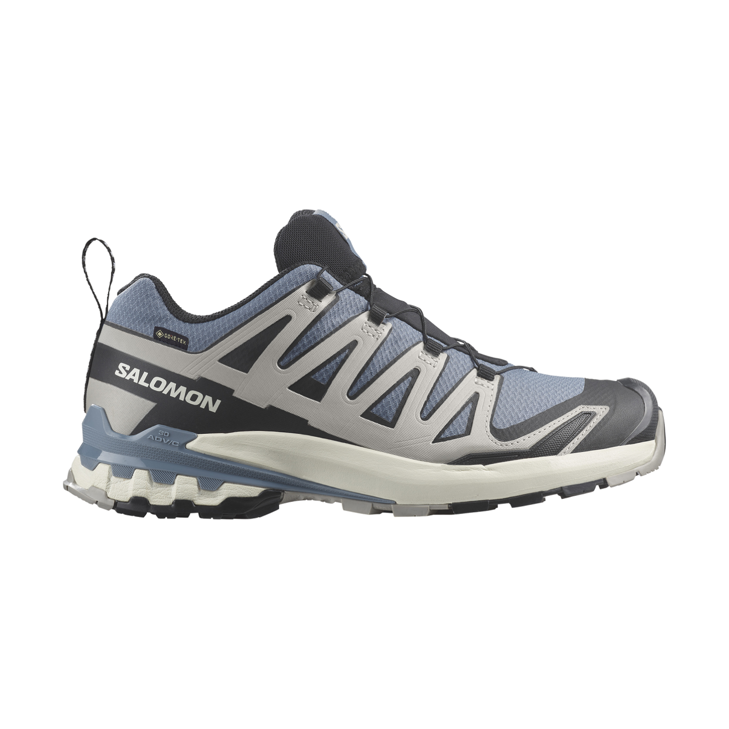 SALOMON XA PRO 3D V9 GORE-TEX1