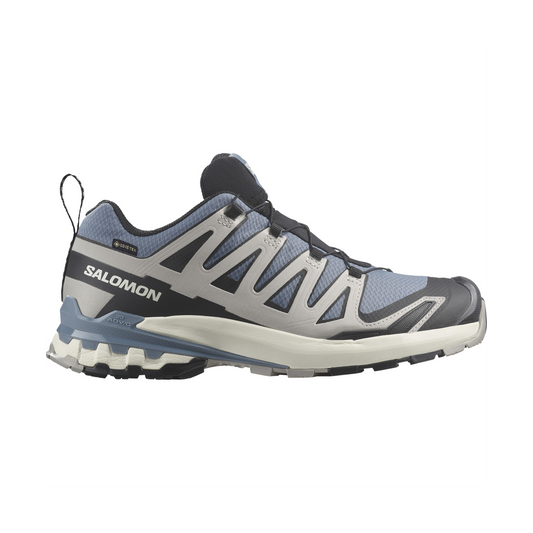 SALOMON XA PRO 3D V9 GORE-TEX1