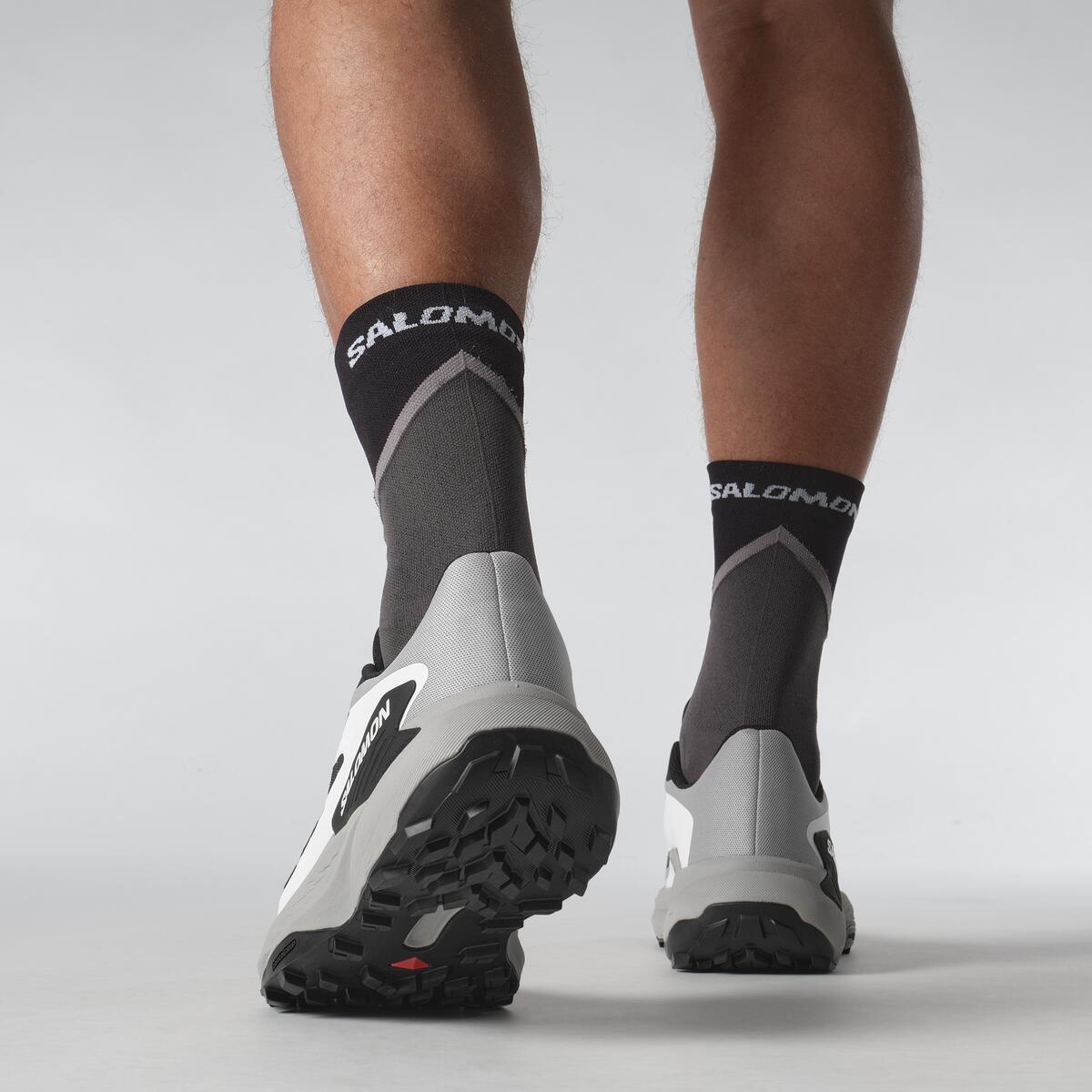 SALOMON GENESIS