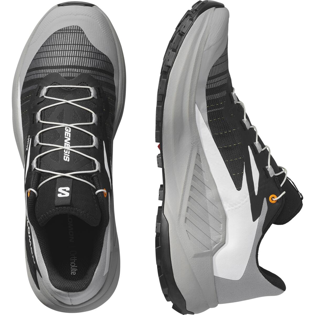 SALOMON GENESIS