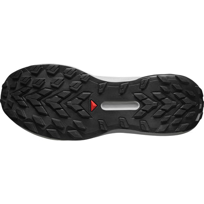 SALOMON GENESIS