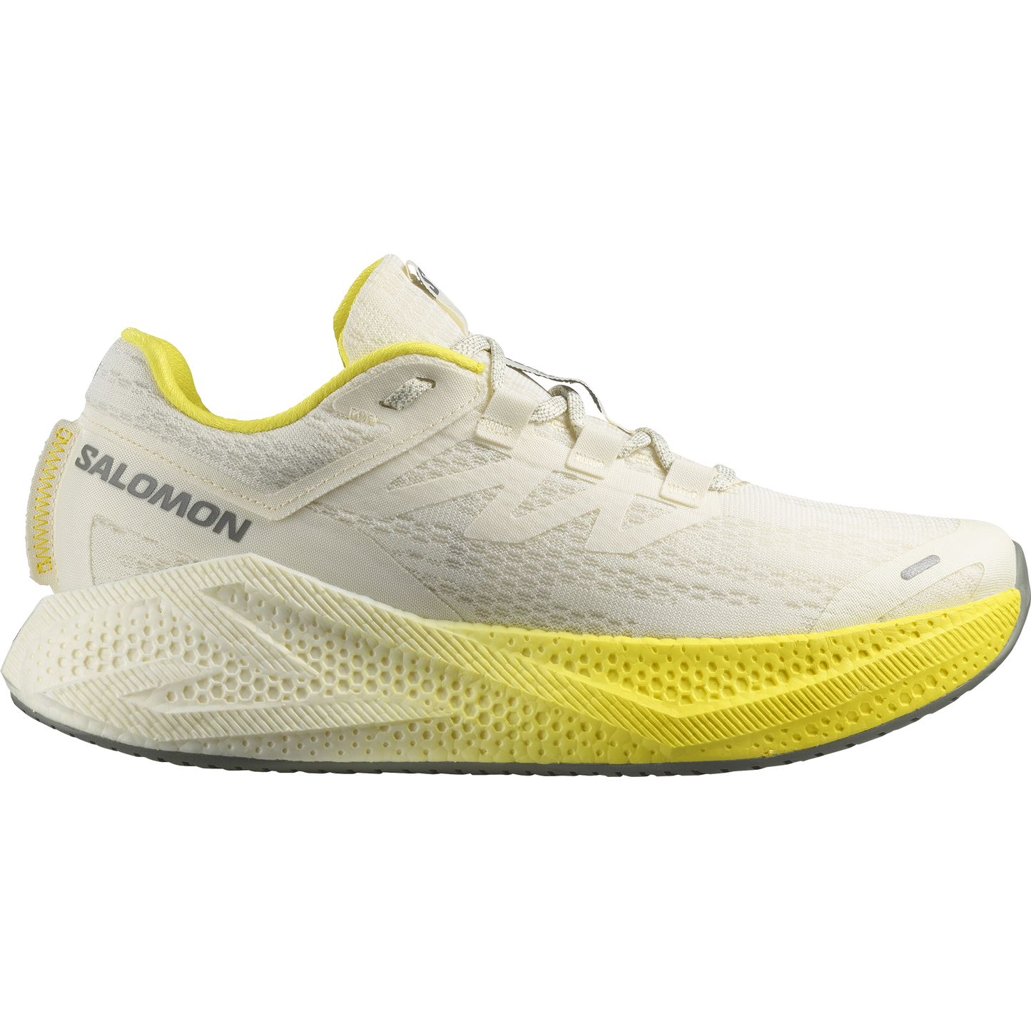 SALOMON AERO GLIDE 3