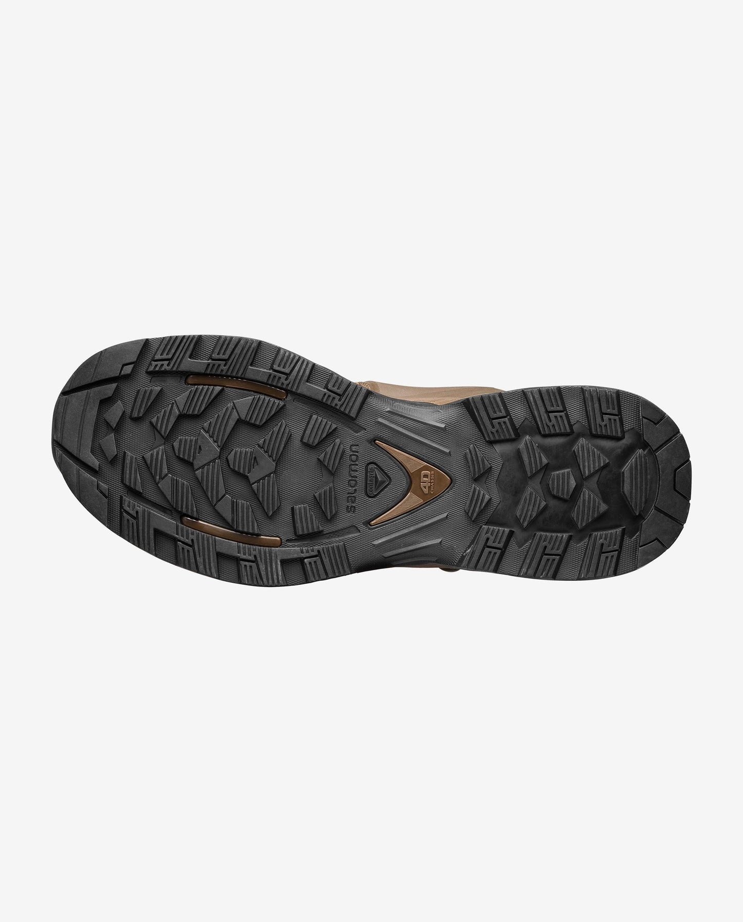 QUEST 4D FORCES 2 EN
